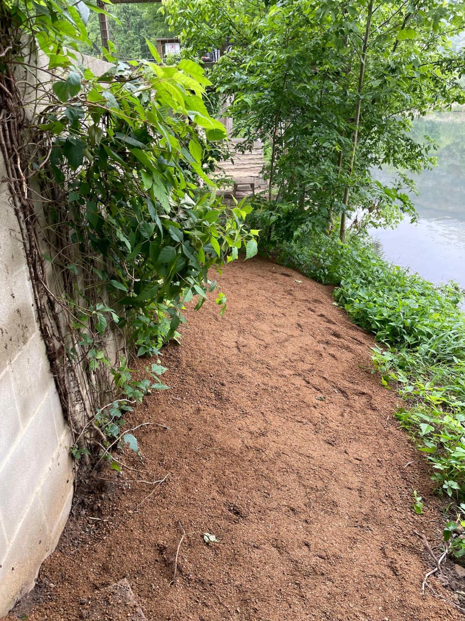 Pet Friendly Tiny House Rental With New Access To Guadalupe River Nbtx นิวบราวน์เฟลส์ ภายนอก รูปภาพ