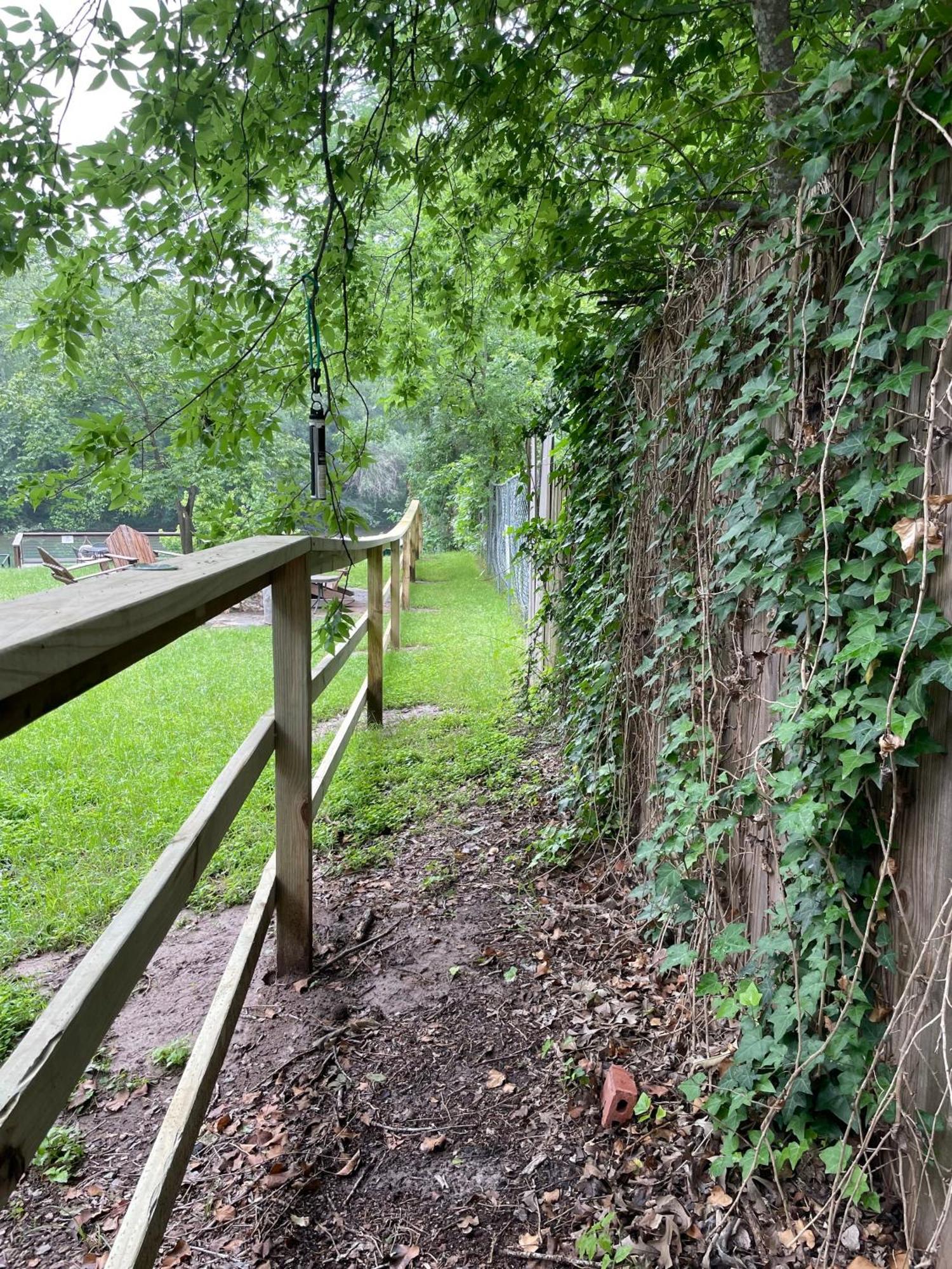 Pet Friendly Tiny House Rental With New Access To Guadalupe River Nbtx นิวบราวน์เฟลส์ ภายนอก รูปภาพ